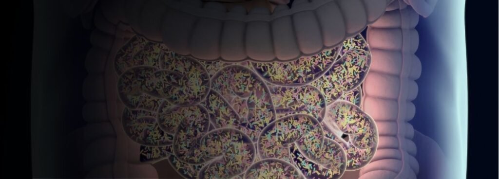 problema en flora intestinal por culpa del sibo